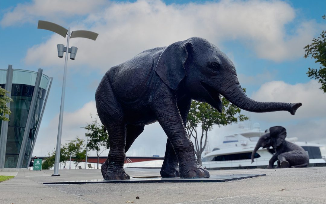 Elephant sculpture docklands